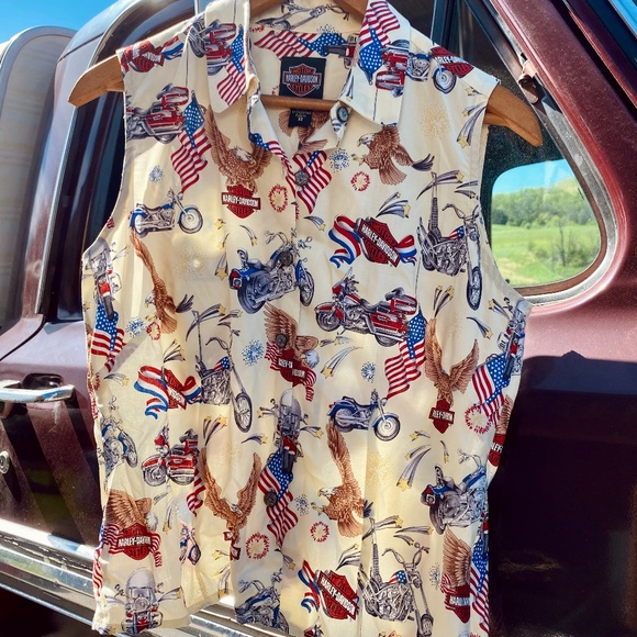 Harley Davidson Tank - Picture 1 of 4